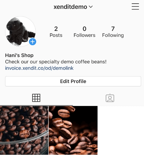 Sample instagram payment link