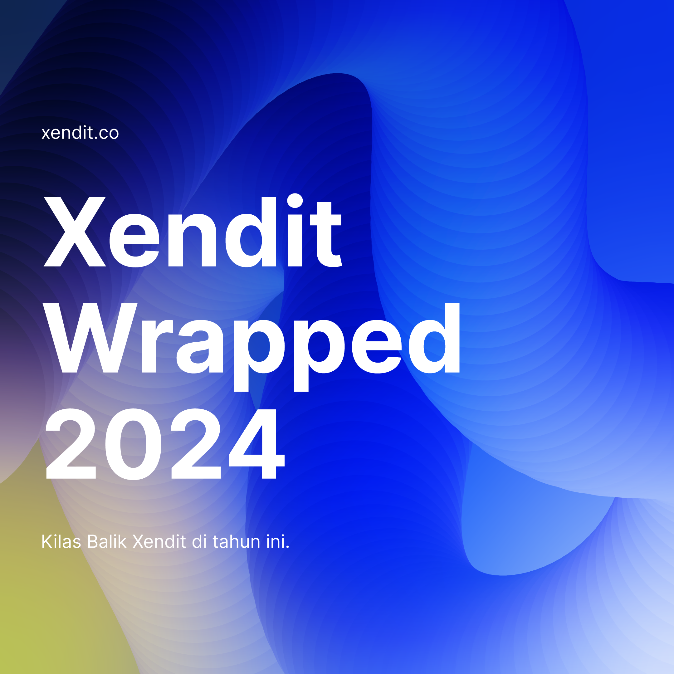 Xendit Wrapped 2024 01